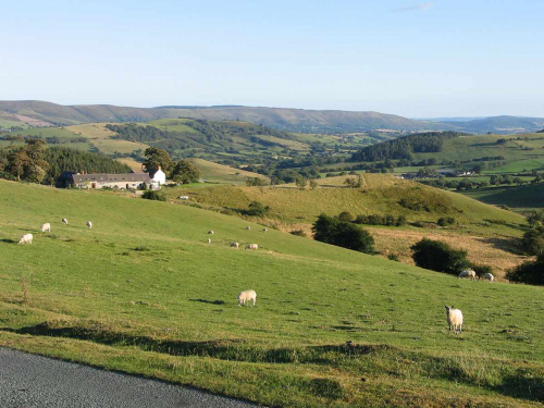 Back of the Long Mynd, Hiking in South Shropshire