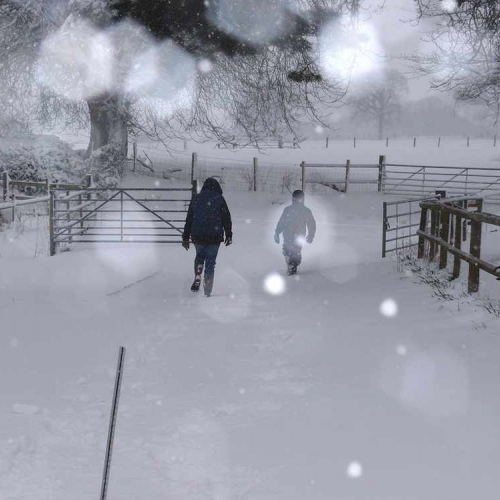 Snowy Day at Upper Heath Farm in South Shropshire