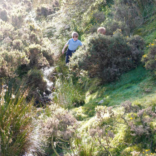 Enjoying walking near Self Catering Farm Cottage Accommodation in Shropshire, England